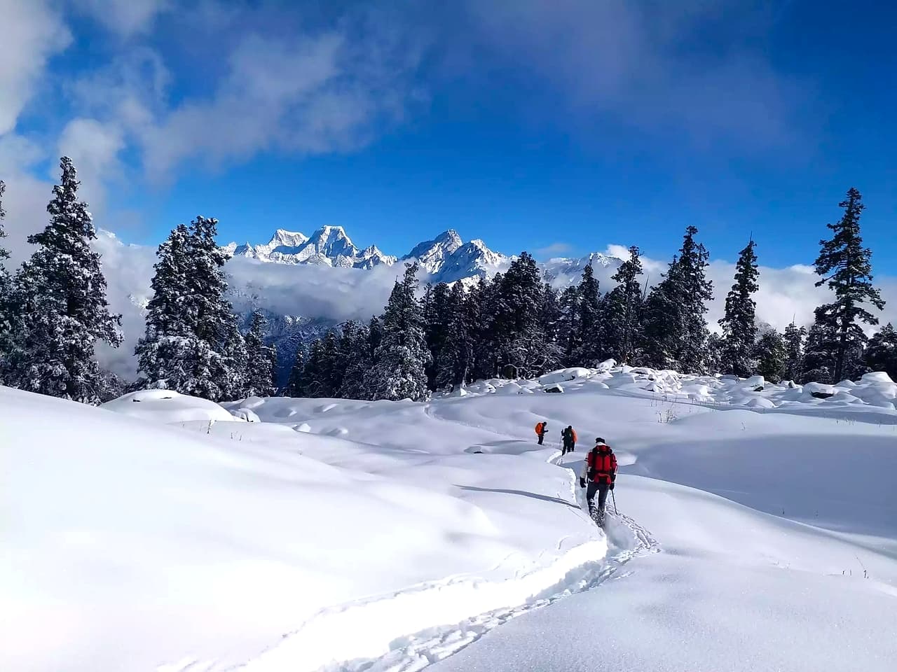 Kuari Pass Trek