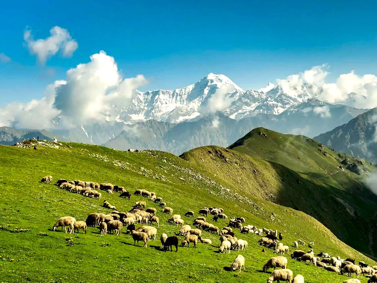 Surya Top Trek