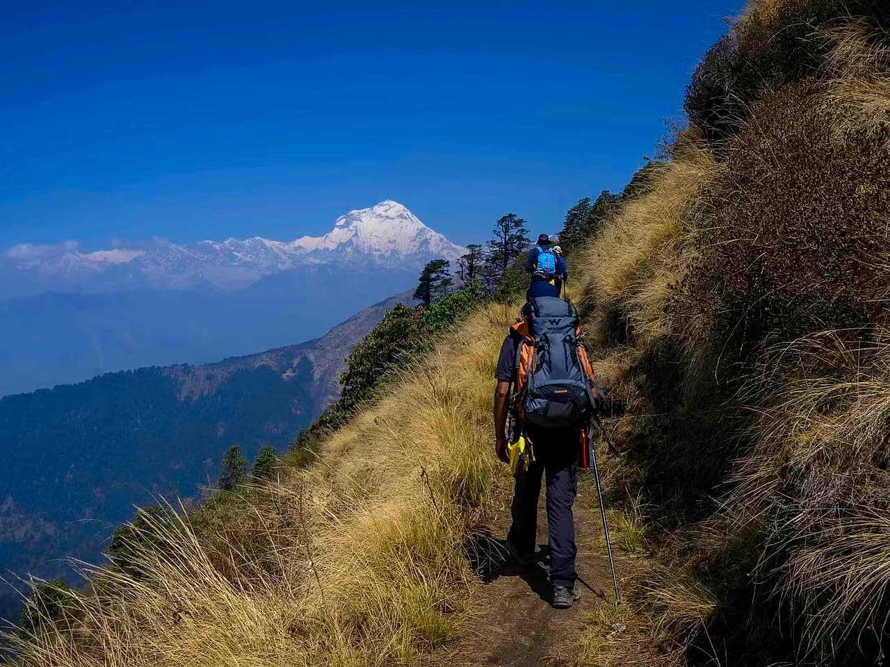 Khopra Danda Trek