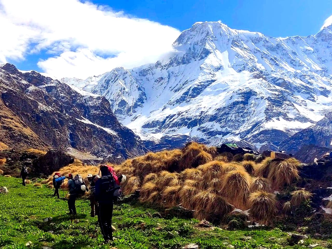 Pindari Glacier Trek